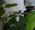 Natural freshwater pearl Baroque design pendant